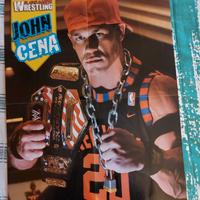 Poster wrestling john cena