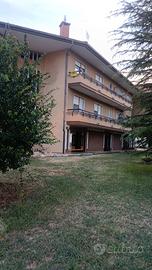 Cuneo confreria