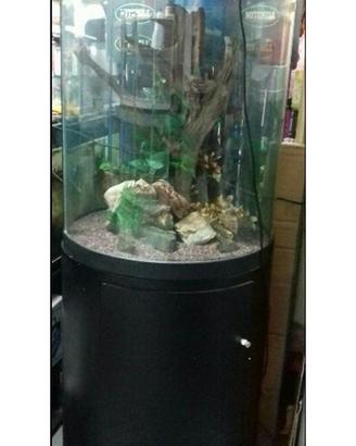 Acquario Cilindrico NUOVO e altri