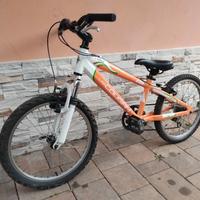 MTB lee cougan 20