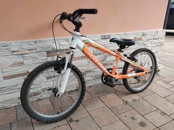 MTB lee cougan 20