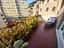 Immagine 7
