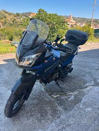 Suzuki vstorm650