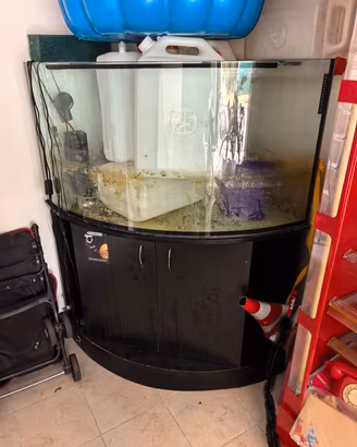 Acquario