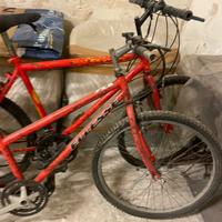 Montanbike da restaurare
