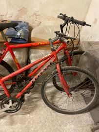 Montanbike da restaurare