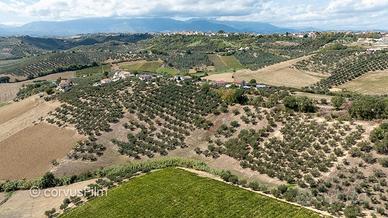 Terreno agricolo Pianella (PE)