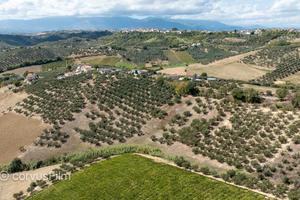 Terreno agricolo Pianella (PE)