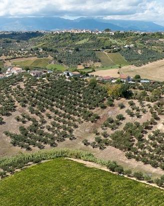 Terreno agricolo Pianella (PE)