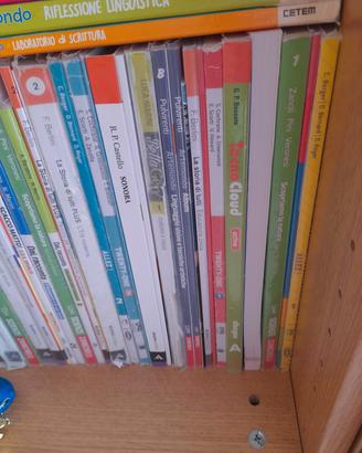 libri usati scuola media 