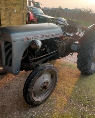 1953 Massey Ferguson TEF20 con sollevamento 