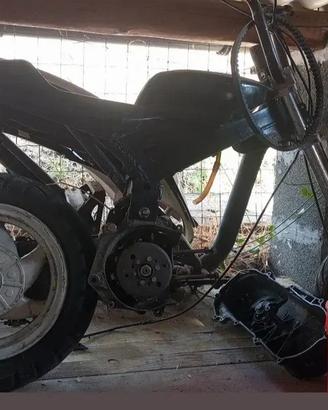 minimoto f10