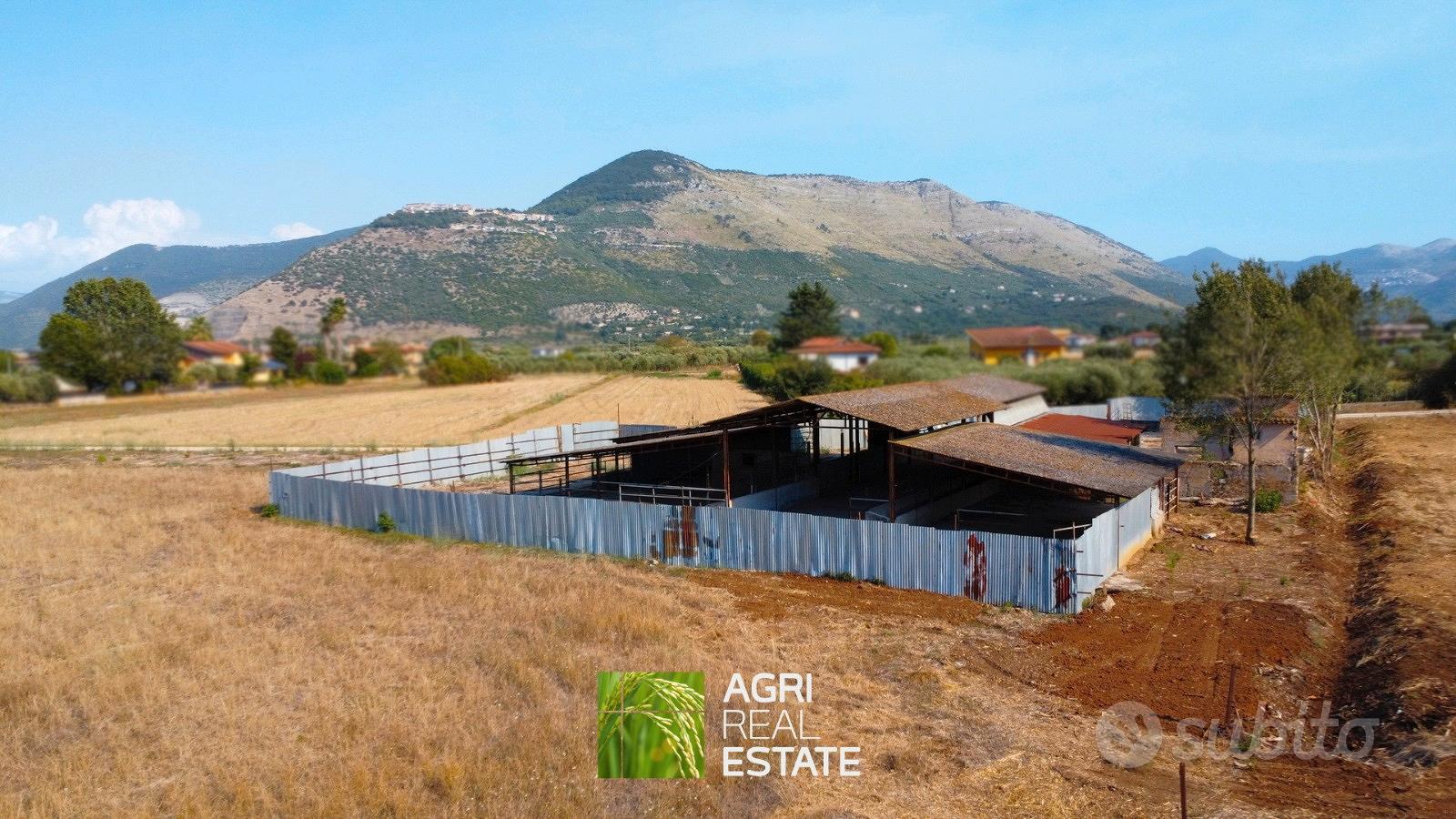 Proprietà agricola 3 HA con fabbricato e stalla - Altro