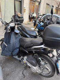 Motorino scarabeo 100