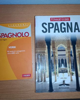 Libro guida spagna e dizionario verbi