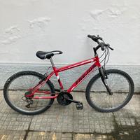 Bicicletta 7/12 anni