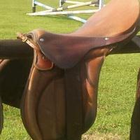 Selle olimpioniche PARIANI e artigianali.