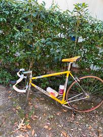 Bicicletta colnago