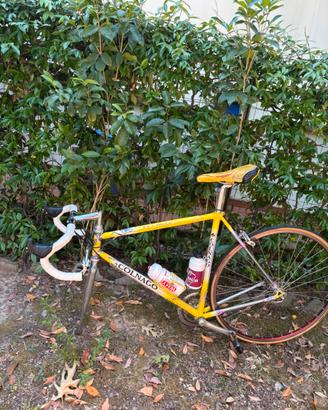 Bicicletta colnago