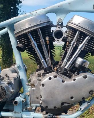 Harley davidson Panhead