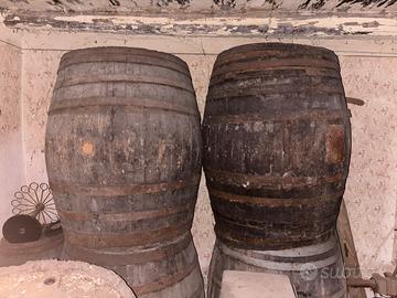 7 Botti legno x vino