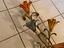 Immagine 2