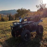 Polaris sportsman 500 forest