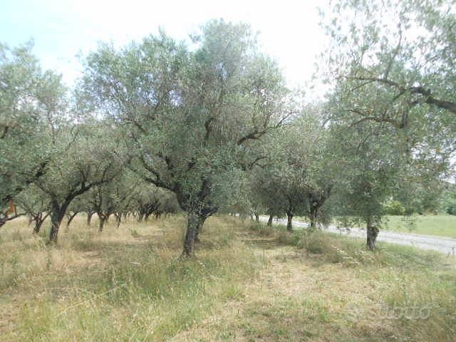 Terreno di 3300 m² a Vairano Patenora - Vista 2