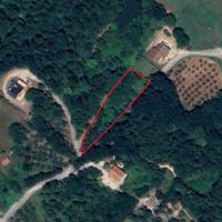 Terreno agricolo con pozzo e uliveto 2105mq