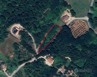 Terreno agricolo con pozzo e uliveto 2105mq