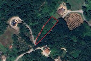 Terreno agricolo con pozzo e uliveto 2105mq