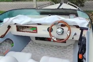 Barca Conero Delfino