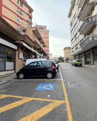 ATTIVITÀ A FROSINONE