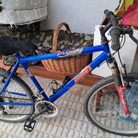 bicicletta donna