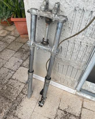Forcelle anteriori Cagiva
