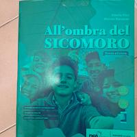 All'ombra del sicomoro