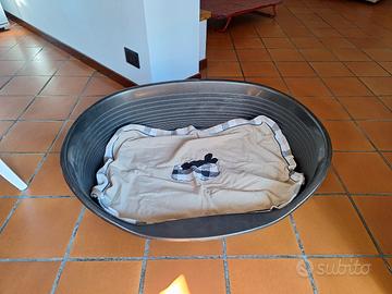 cuccia x cane