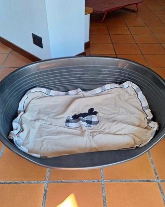 cuccia x cane