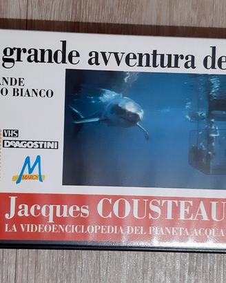 Videocassette VHS varie