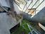 Immagine 12