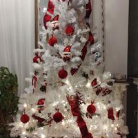 Albero di Natale senza decorazioni
