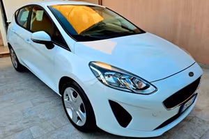 FORD FIESTA 1.5 TDCI 2019 POSS FINANZIAMENTO 