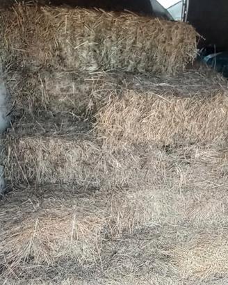 Vendita fieno