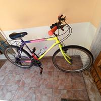 Bicicletta anni 90 mountain bike 
