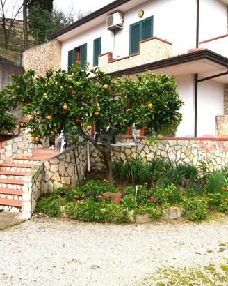 Casa Indipendente Mercato San Severino