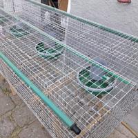 GABBIE conigli PER INGRASSO