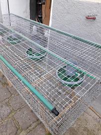 GABBIE conigli PER INGRASSO