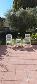 Sedie da giardino con carrello portavivande 