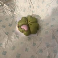 quadrifoglio thun 2025 bauli