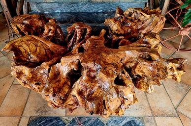 Tavolo in radica di legno ulivo